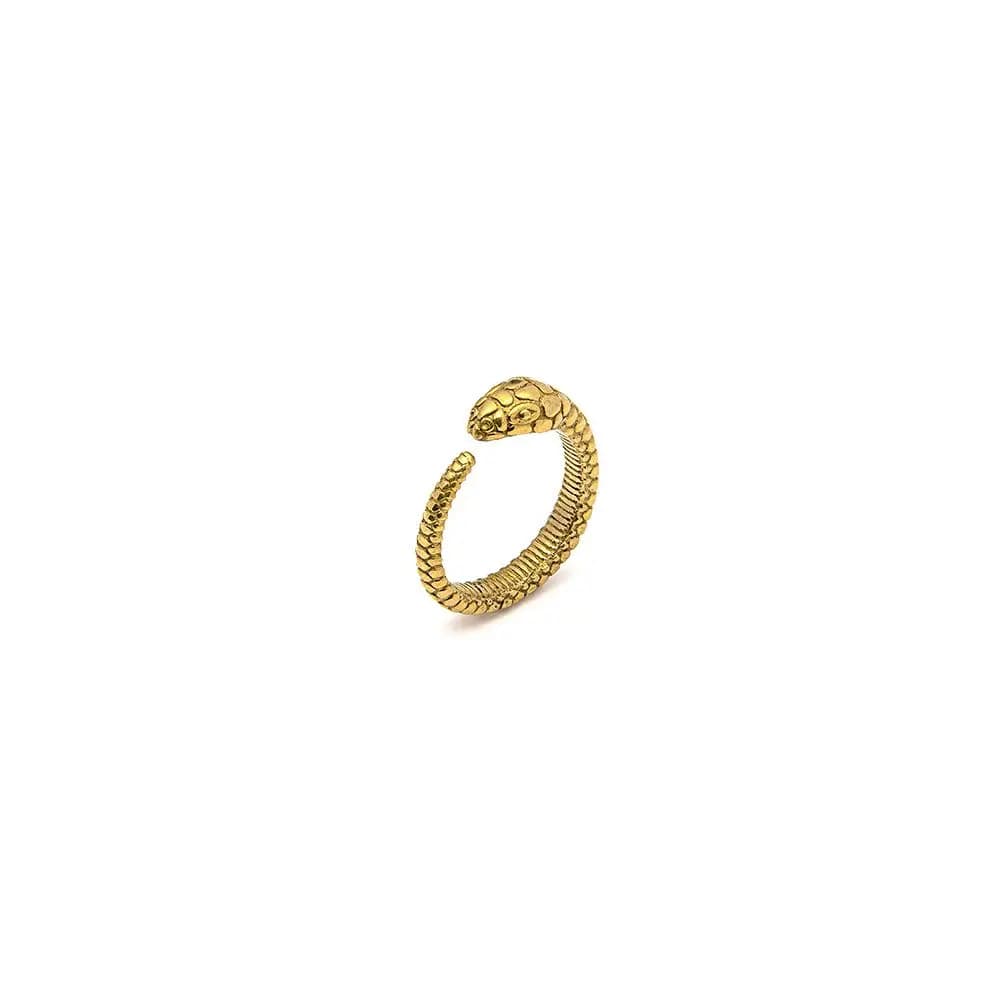 Fedina texture serpente - 1
